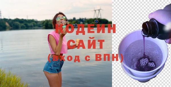 гашик Гусев