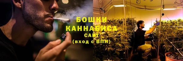 гашик Гусев