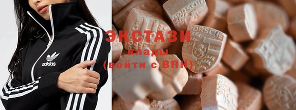 гашик Гусев
