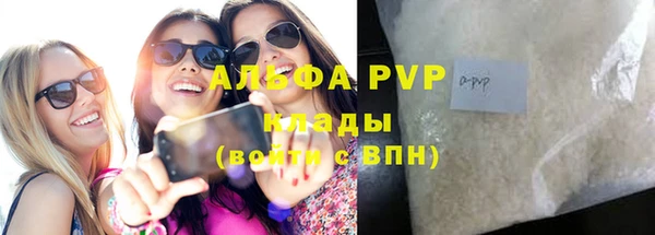 гашик Гусев