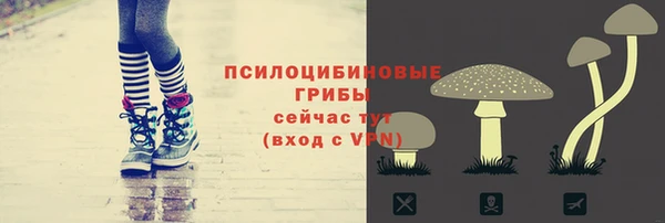 гашик Гусев