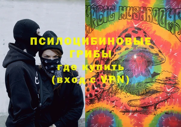 мяу мяу мука Гусиноозёрск