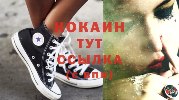 гашик Гусев