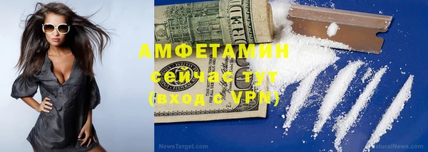 гашик Гусев