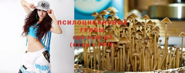 мяу мяу мука Гусиноозёрск