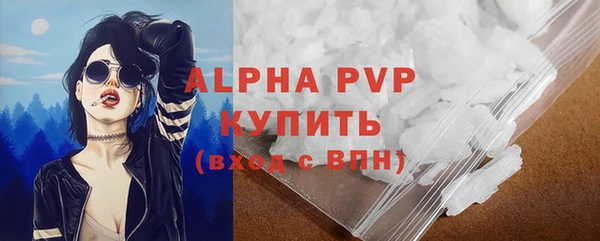 гашик Гусев