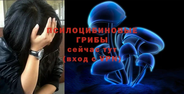 мяу мяу мука Гусиноозёрск