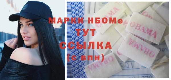 индика Карпинск